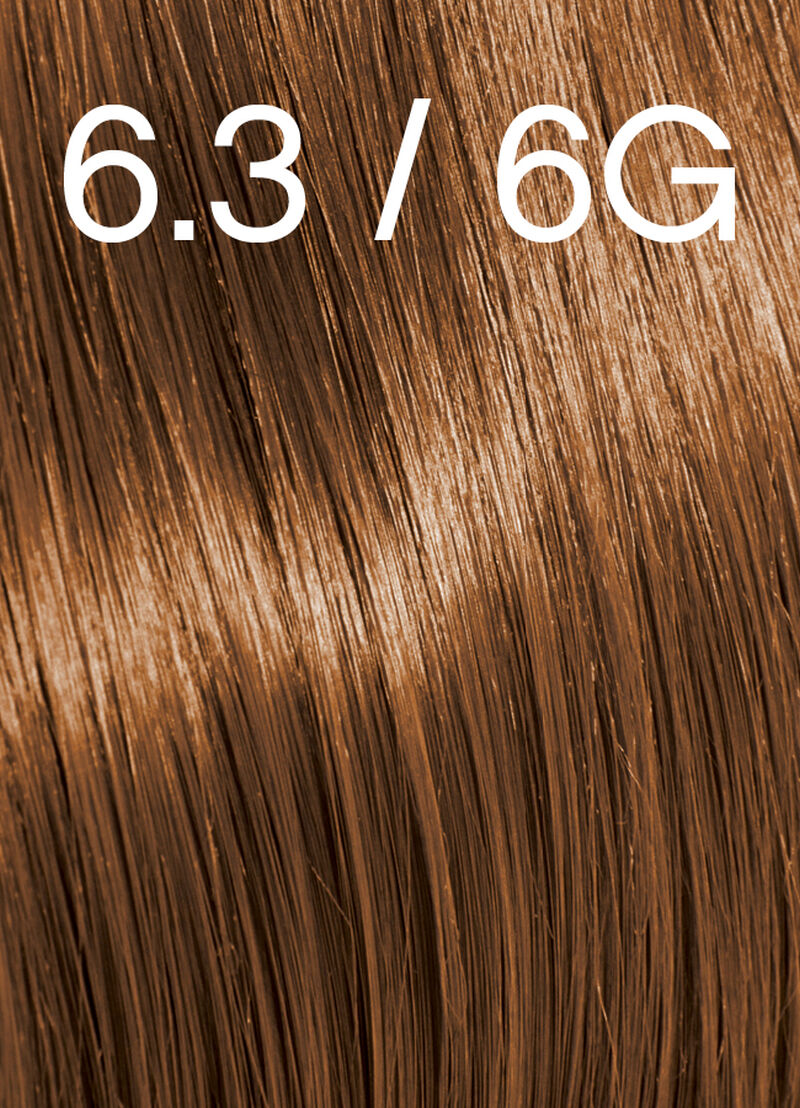 DARK.BLONDE.GOLD 6.3 / 6G image number 0