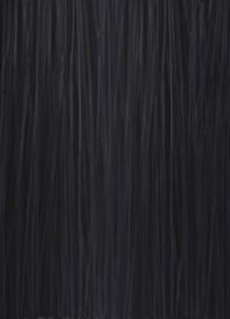 Kevin Murphy Color.Me GLOSS - 1.11 (1AA) Black.Ash.Intense 60ml / 2oz image number 0