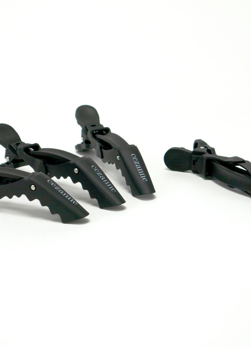 CEZANNE HAIR CLIPS image number 0
