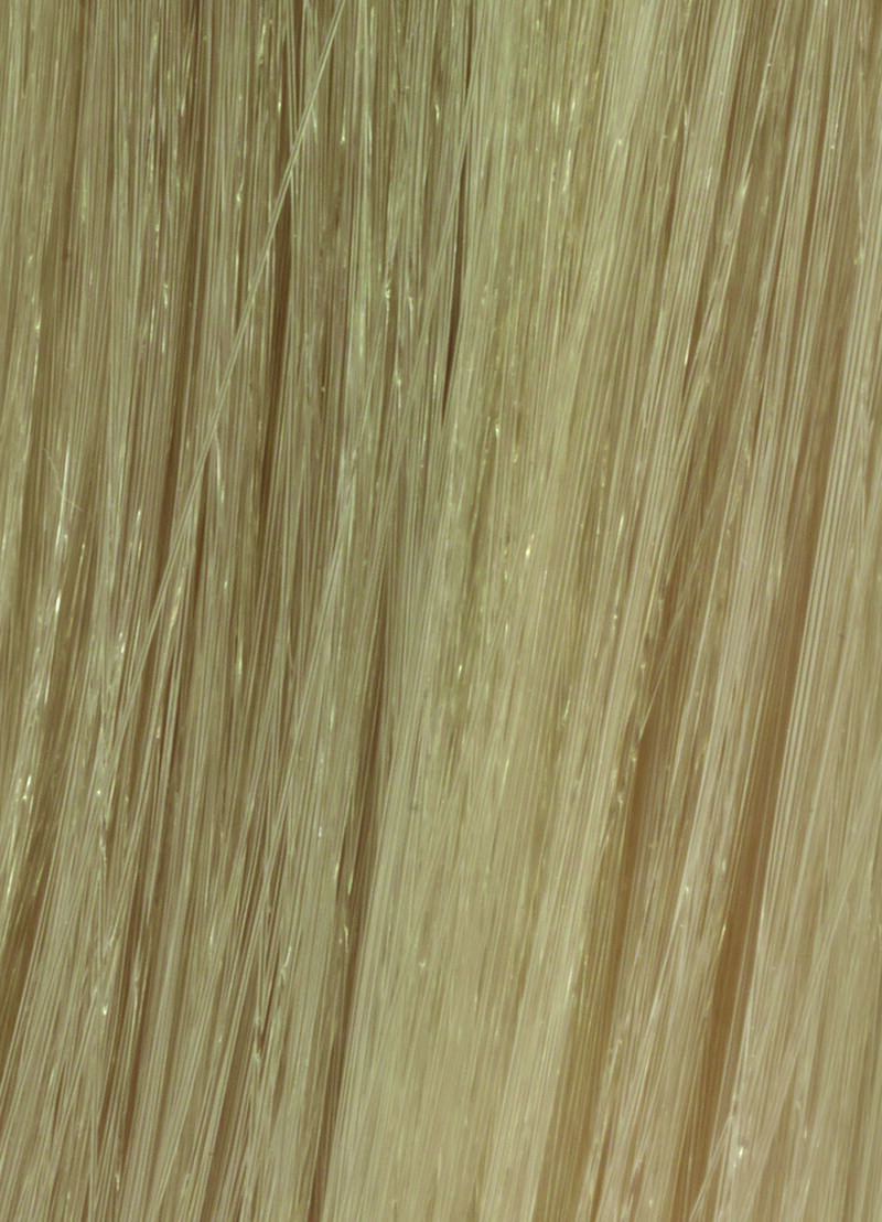 Kevin Murphy Color.Me PLATINUM  ASH 10.1 (10A) image number 0